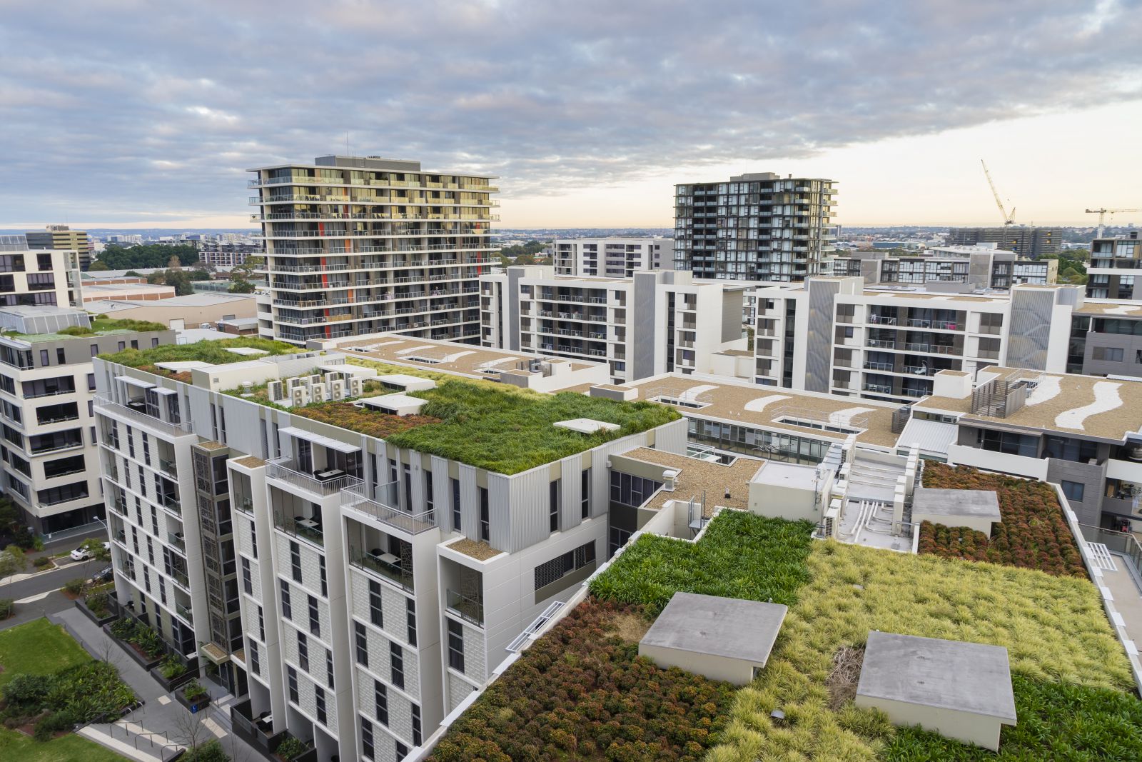 green roof